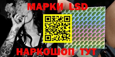 гидропоника Можга