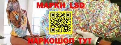 индика Моздок