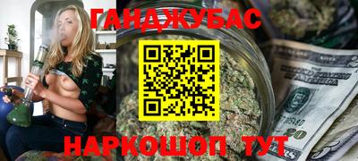 индика Моздок
