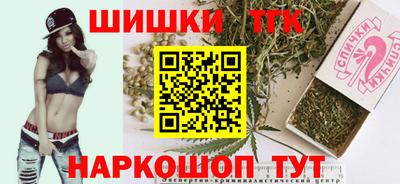 индика Моздок