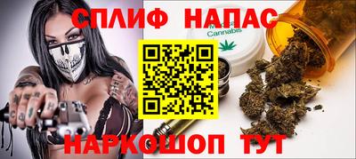 индика Моздок