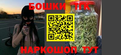 индика Моздок